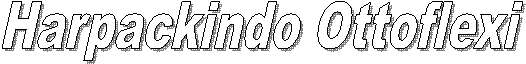Harpackindo Ottoflexi