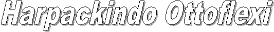 Harpackindo Ottoflexi 